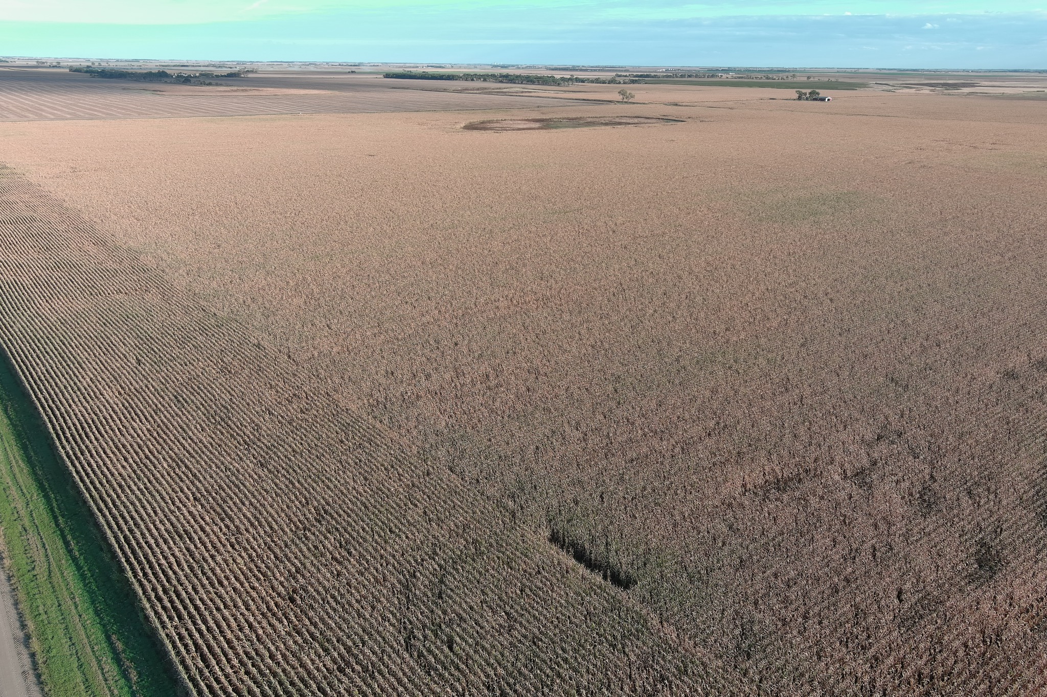 Nov 5th 11AM Beadle & Hand County Land Auction Nov 5th 11AM Beadle & Hand County Land Auction